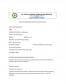 GUÍA DE TRABAJO “APOCALYPTO”