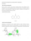 CARBOHIDRATOS DETERMINACIÓN DE GLUCOGENO HEPÁTICO -FERMENTACION