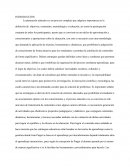 Formador de formadores