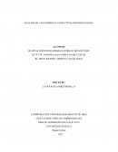 ANÁLISIS DE CASO SOBRE LA ESTRUCTURA ORGANIZACIONAL