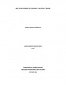 INDICADORES MÍNIMOS DE SEGURIDAD Y SALUD EN EL TRABAJO
