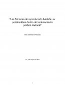 Las Técnicas de reproducción Asistida: su problemática dentro del ordenamiento jurídico nacional