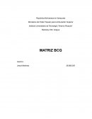 Matriz BCG Bruno Mars