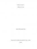 Aseguramiento de la calidad en procesamiento de frutas y verduras