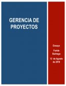 Gerencia de proyectos , planeación y ejecución de los proyectos