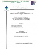 ESTRUCTURA ORGANIZACIONAL DE LA EMPRESA HORT S.A. DE C.V