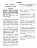 DeepLearning Aplicado al Reconocimiento de Imagenes