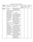 MATRIZ FACTORES DE TENSION