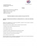 Transformación digital en la cadena de suministro de la empresa Entel (Web)