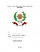 DESCRIBIR RADIO VHF/UHF DE PARK AIR M7