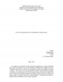 ÉTICA DEL PROFESIONAL DE ENFERMERIA EN PSIQUIATRIA