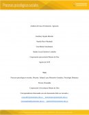 Análisis de Casos Frustración- Agresión