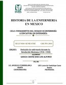 Historia Enfermeria en México