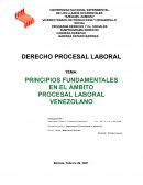 PRINCIPIOS FUNDAMENTALES EN EL ÁMBITO PROCESAL LABORAL VENEZOLANO