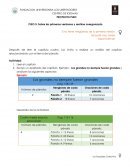 PROYECTO PLEO PLEO 5: Sobre las primeras versiones y sentirse avergonzado