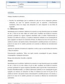 Trabajo Gasolinera La Mortera