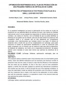 OPTIMIZACIÓN RESTRINGIDA EN EL PLAN DE PRODUCCIÓN EN UNA PEQUEÑA FÁBRICA DE ARTÍCULOS DE CUERO