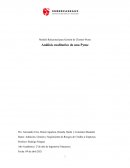 Modelo Relacional para Gestión de Clientes-Pyme Análisis cualitativo de una Pyme