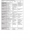 Pauta de evaluación “Cuento”