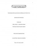 PROGRAMA ESPECIALIZACIÓN EN GERENCIA DE PROYECTOS ASIGNATURA ESTRATEGIA