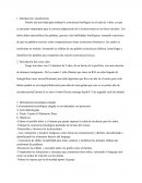 Lectoescritura Cuento El Ratoncito Pérez