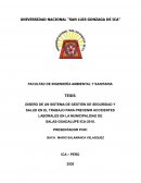 IMPLEMENTACION DE UN SISTEMA DE GESTION DE SST EN MUNICIPALIDAD