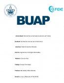 Analisis de Ciclo de vida. Ensayo Tren Maya