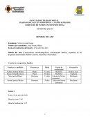 TRABAJO SOCIAL CON INDIVIDUOS - CUARTO SEMESTRE EJERCICIO DE INTERVENCIÓN INDIVIDUAL