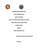 PRÁCTICA 2: CALIDAD HIGIENICA SANITARIA DE LECHE CRUDA