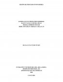 DISEÑO DE PROCESOS empresa AKILA S.A.S