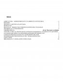 Agricultura – Agroquimicos en un ambiente sustentable