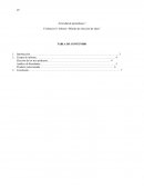 Evidencia 10: Informe “Método de selección de ideas”