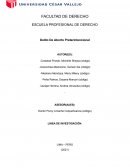 Delito De Aborto Preterintencional