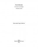 Plan de Mercadeo Formulación de estratégias (Panelitas la cabra)