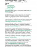 Diagnóstico postnatal y manejo de la enfermedad hemolítica del feto y el recién nacido