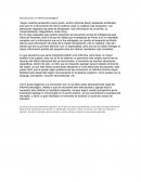 Estructura de un informe psicológico