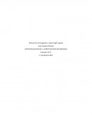 Teoría y técnicas del proceso de investigación de accidentes