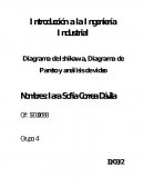 Diagrama Ishikawa Video “Acción Correctiva”