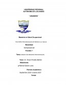 ENSAYO DE RIESGOS PSICOSOCIALES