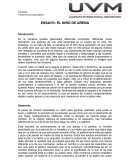 Ensayo libro el niño de arena