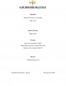 Medicina Preventiva y del Trabajo