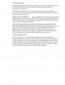 TRANQUILIDAD PÚBLICA