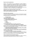 Nuestro mundo de organizaciones