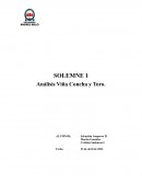 Análisis Viña Concha y Toro