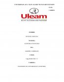 Hallazgos de Auditoria