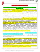 Trabajo practico matriz pensamiento critico