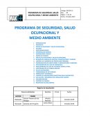 PROGRAMA DE SEGURIDAD, SALUD OCUPACIONAL Y MEDIO AMBIENTE