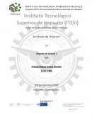 Seminario de titulación . Reporte de avance