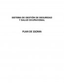 PLAN DE SEGURIDAD, SALUD Y MEDIO AMBIENTE