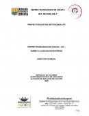 PROYECTO EDUCATIVO INSTITUCIONAL PEI